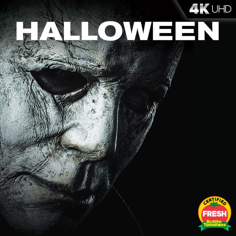 Check out these photos for "Halloween"