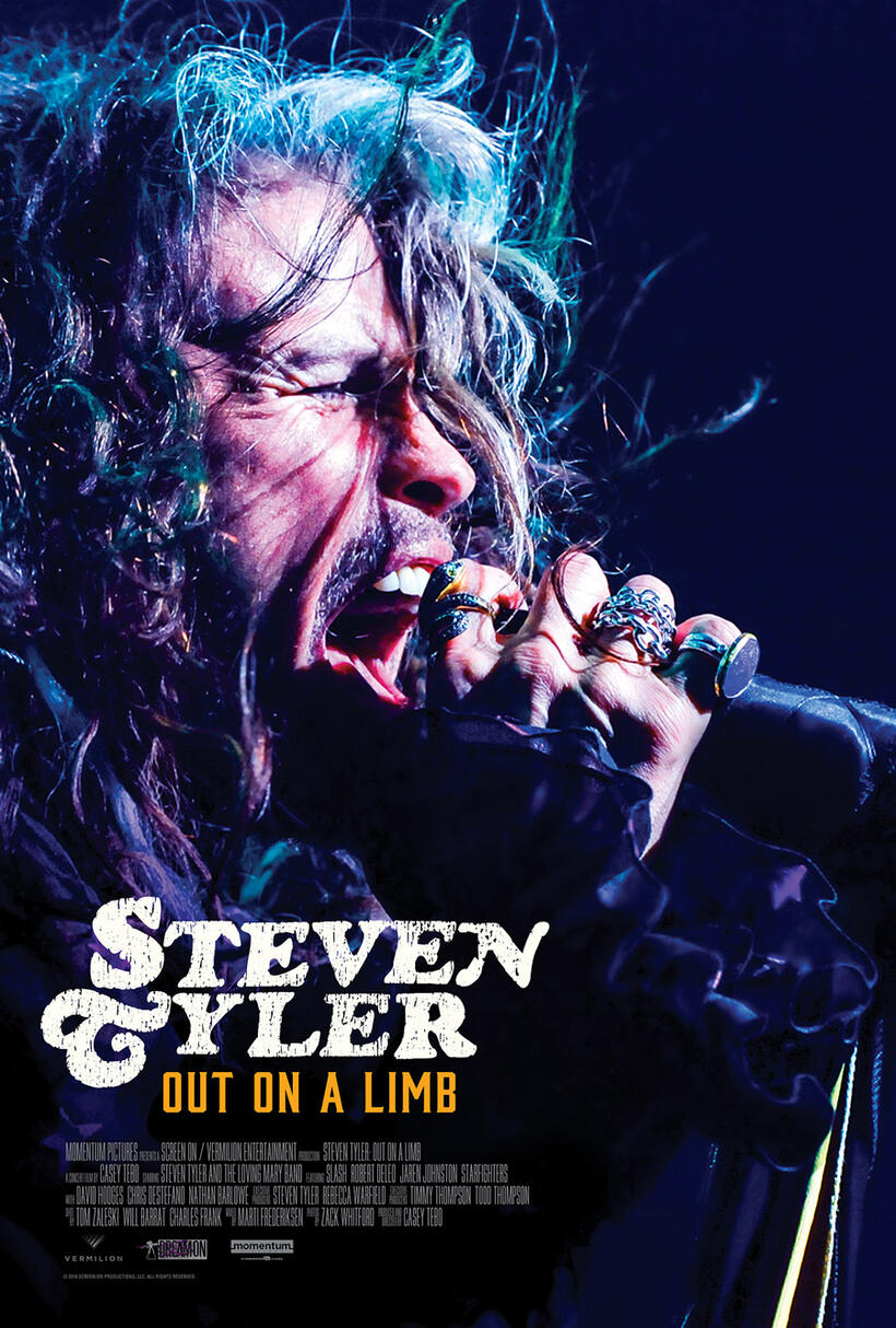 Steven Tyler: Out on a Limb poster art