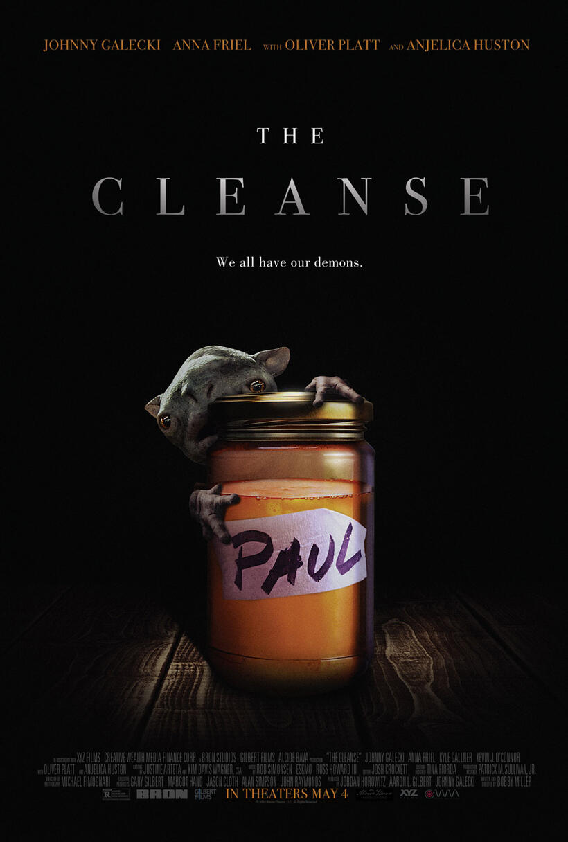 The Cleanse poster art