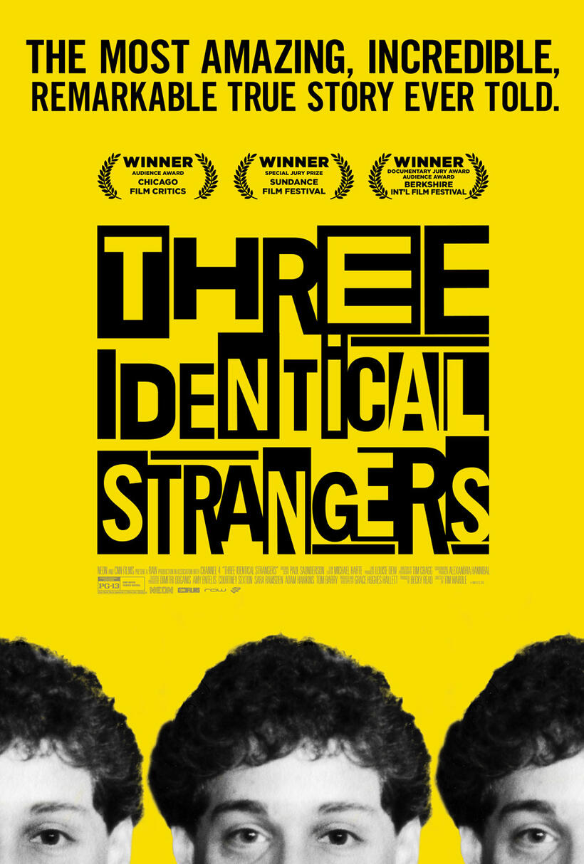 Three Identical Strangers poster art