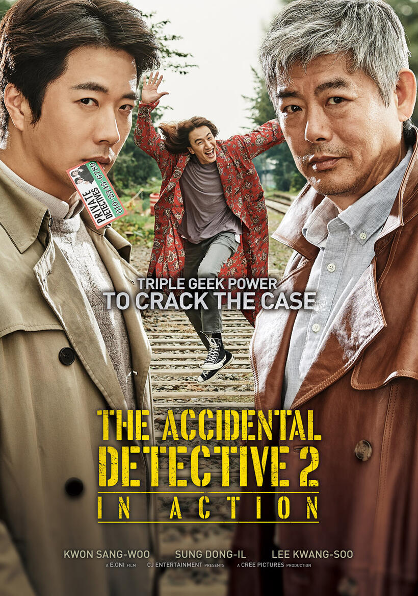 The Accidental Detective 2: In Action poster art