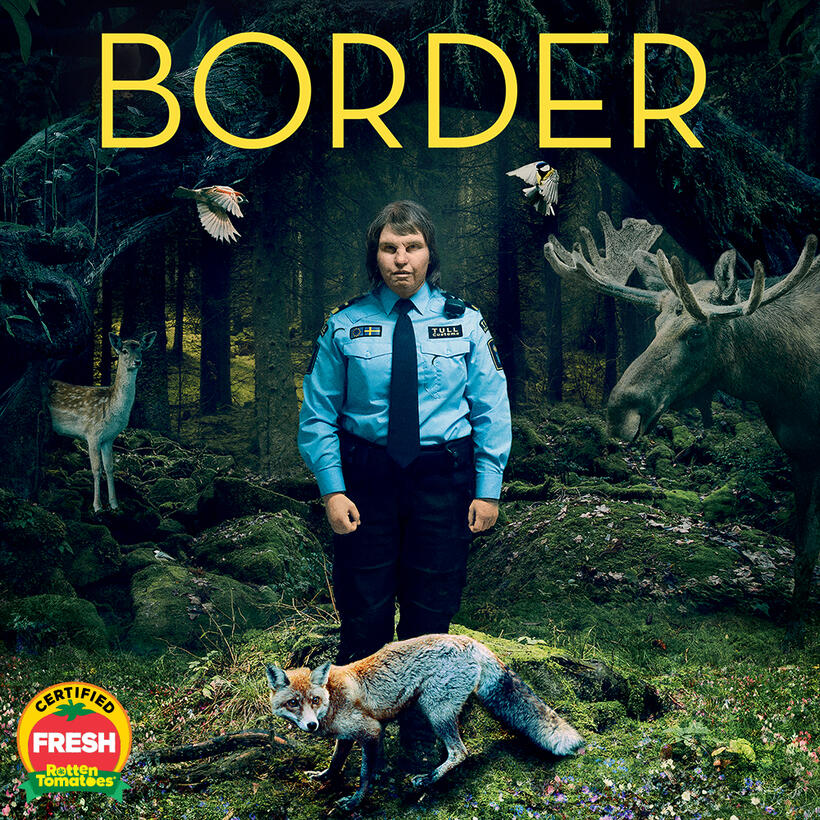 Check out these photos for "Border"