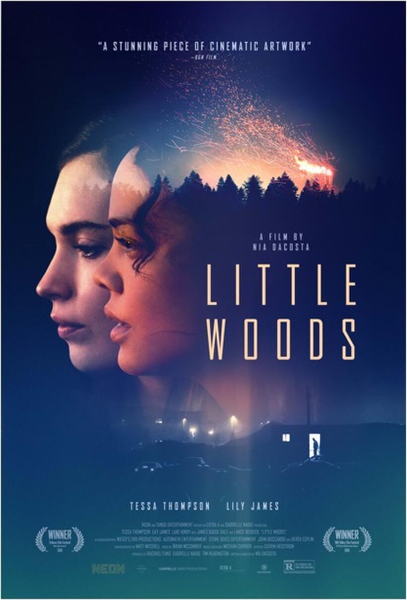 Little Woods poster art