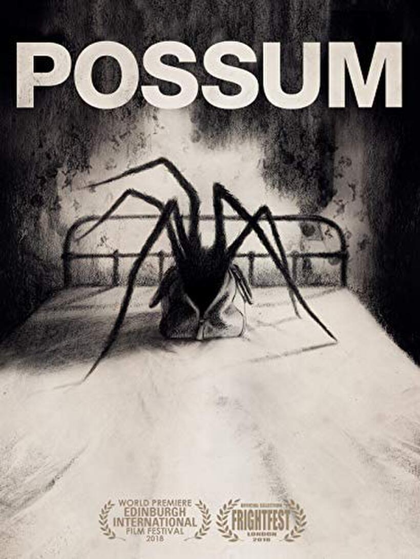 Possum poster art