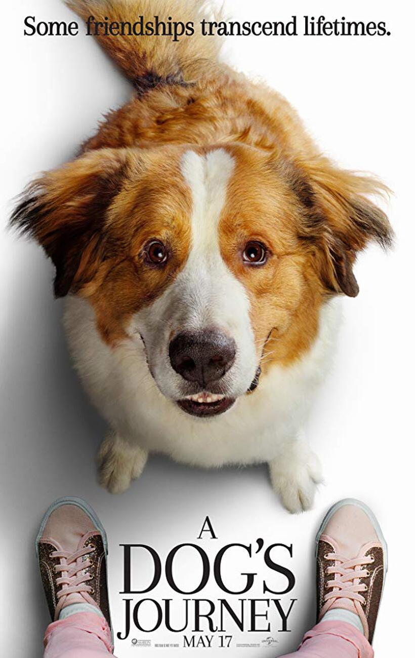 A Dog's Journey poster art
