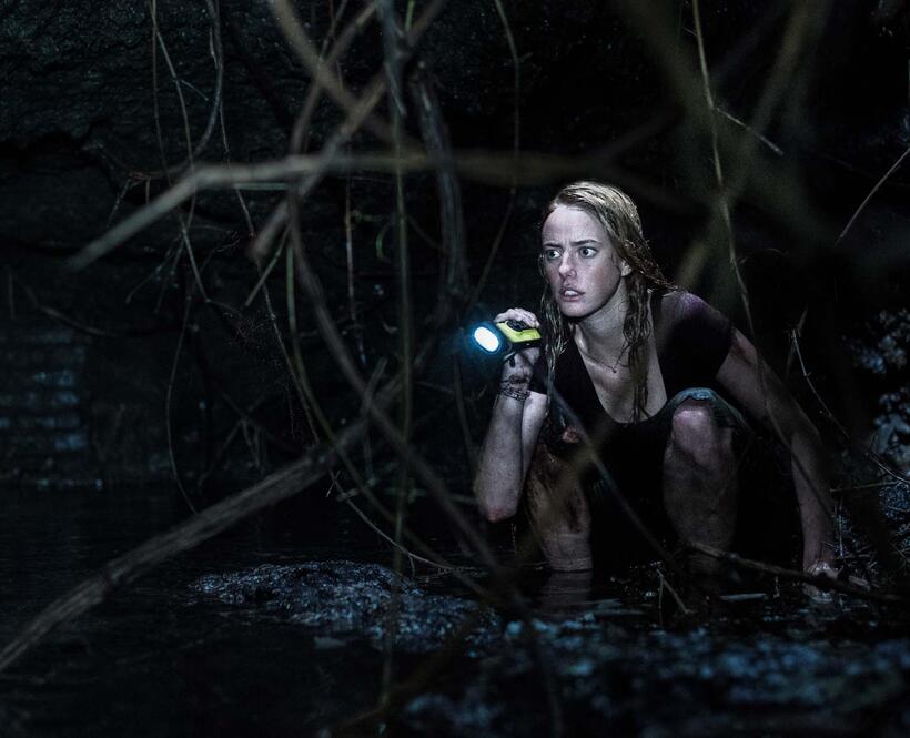 Check out these photos for "Crawl"