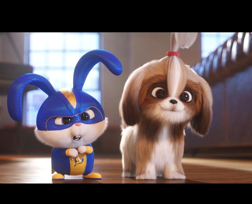 Check out these photos for "The Secret Life Of Pets 2"