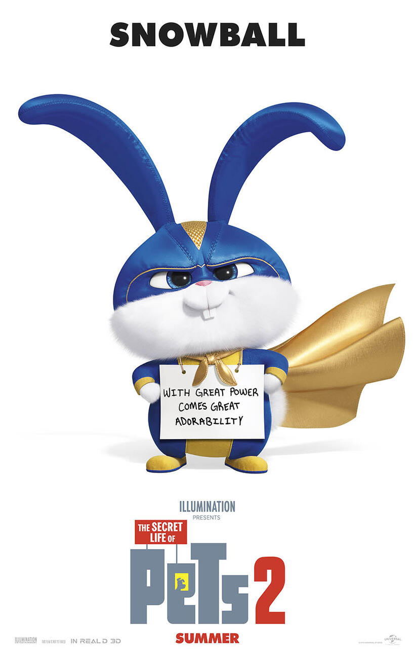 The Secret Life of Pets 2 poster art