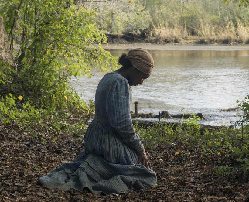 Check out these photos for "Harriet"