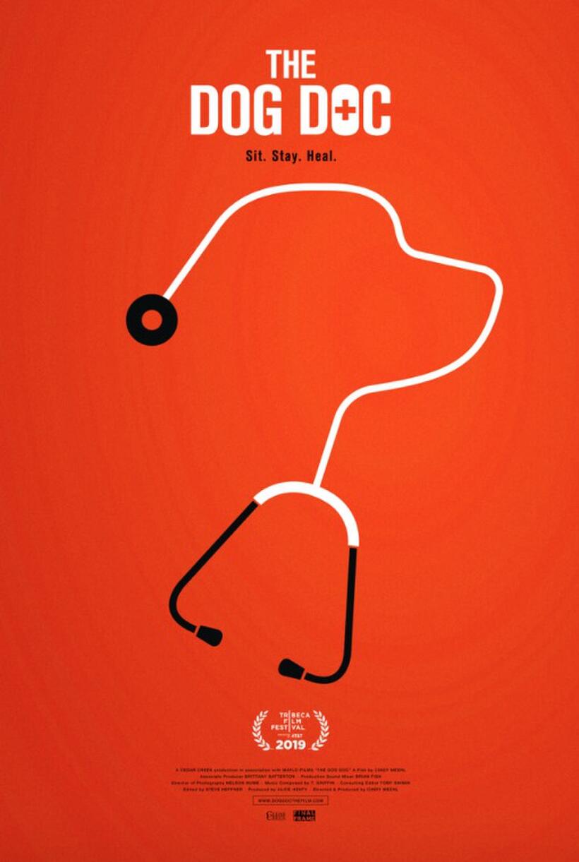 The Dog Doc poster art