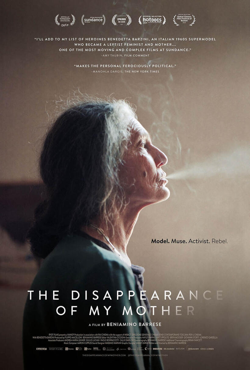 The Disappearance of My Mother poster art