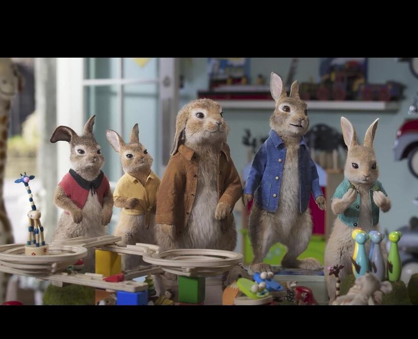 Check out these photos for "Peter Rabbit 2: The Runaway"