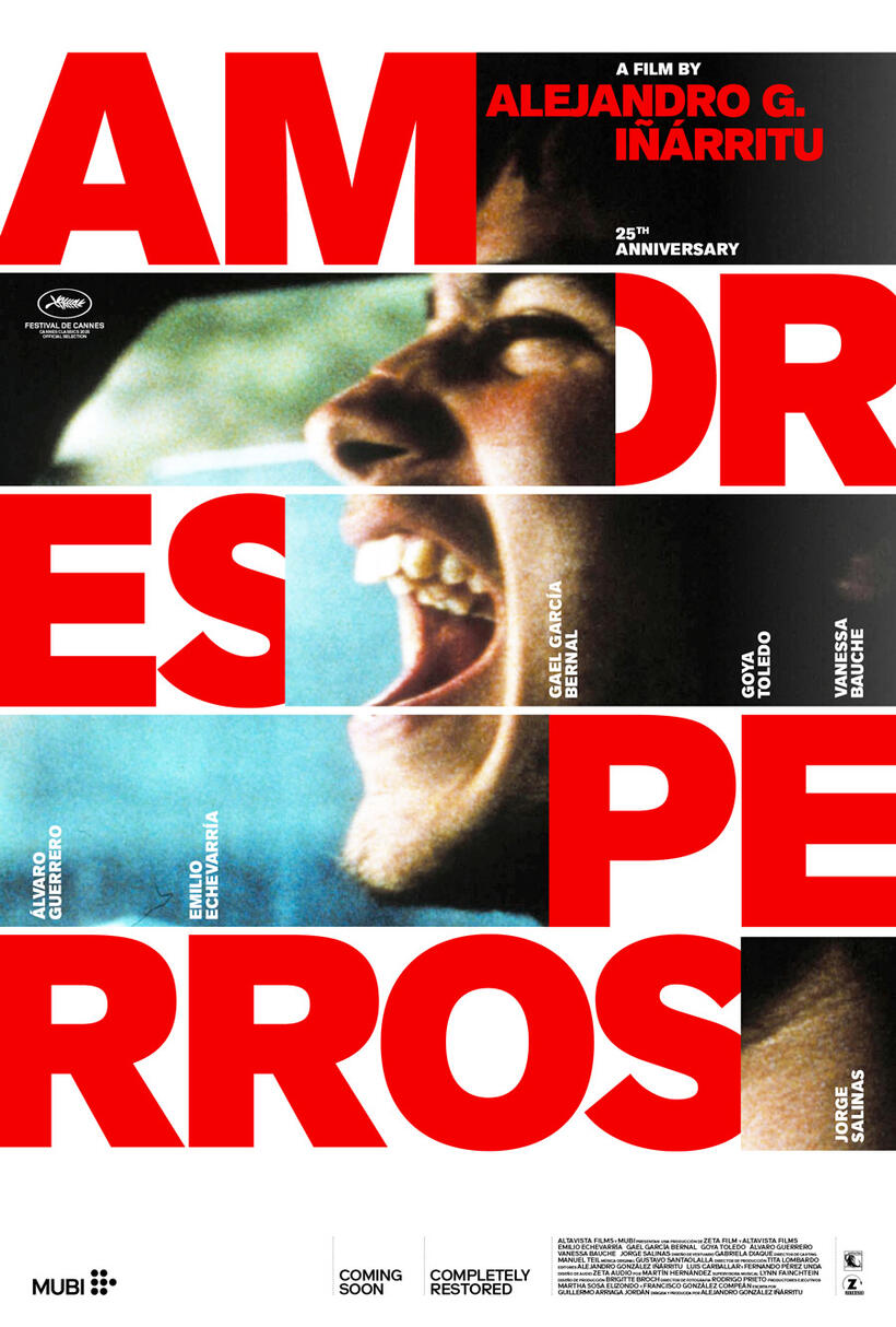Amores perros poster art