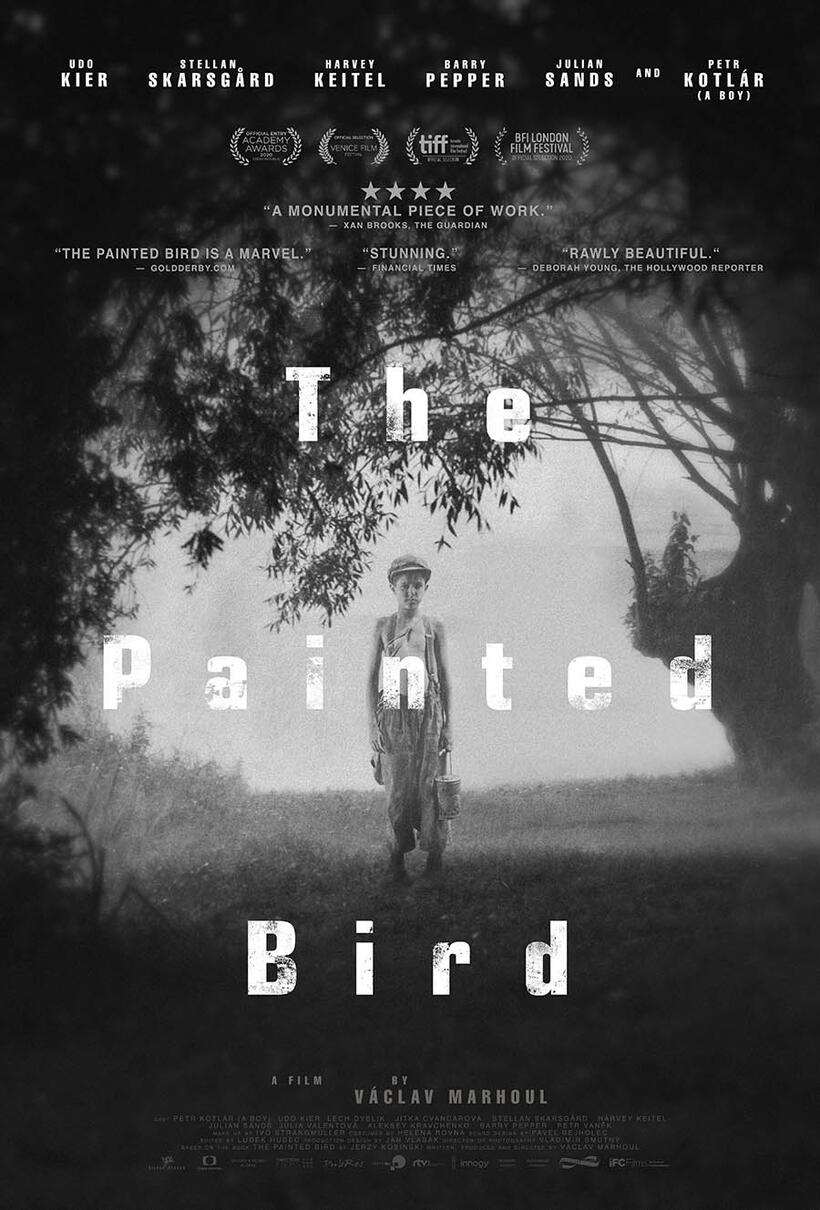 The Painted Bird poster art