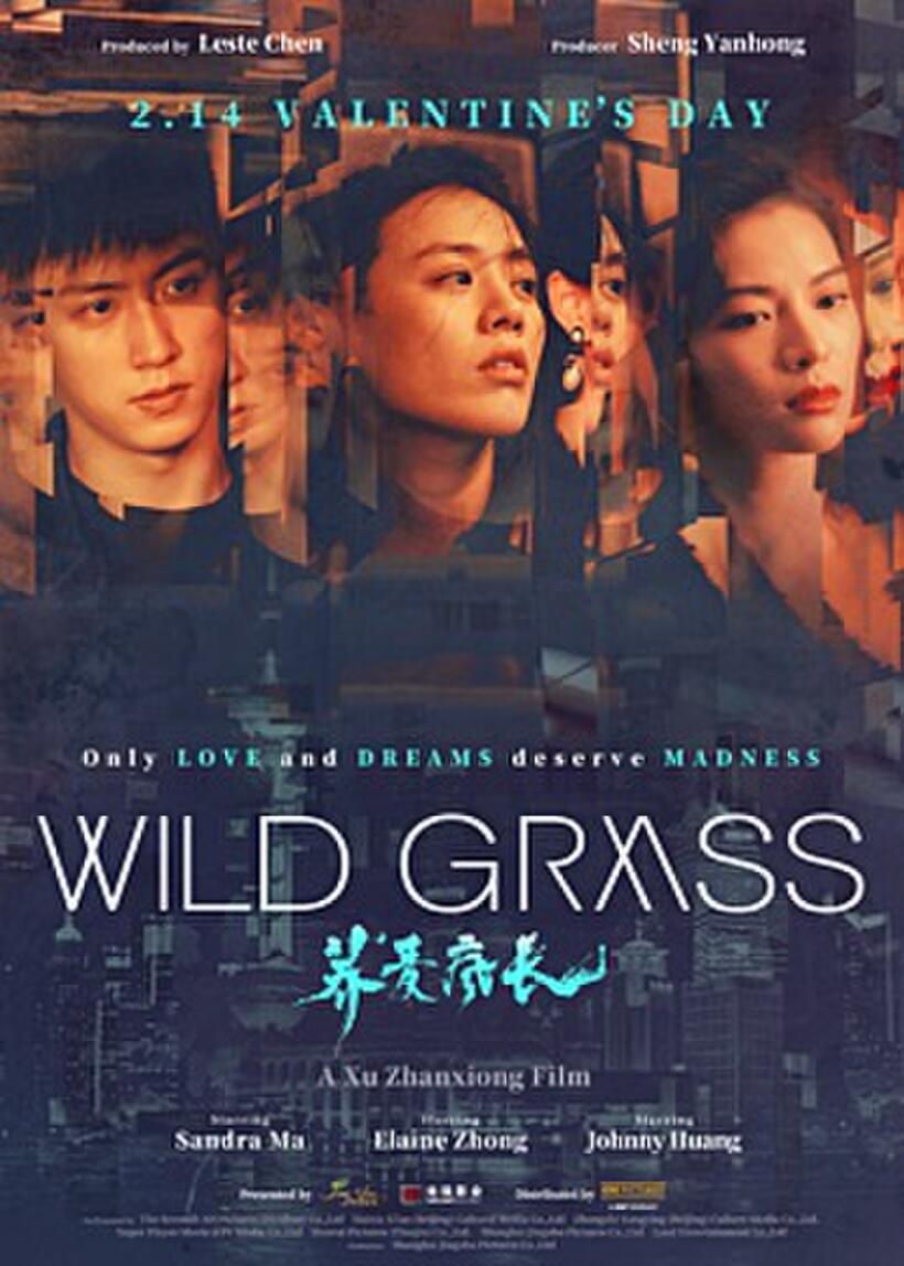 Wild Grass poster art