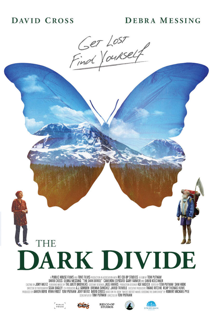 The Dark Divide poster art
