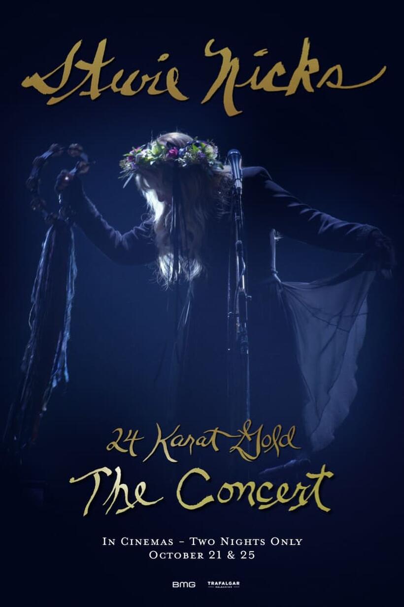 Stevie Nicks 24 Karat Gold The Concert poster art