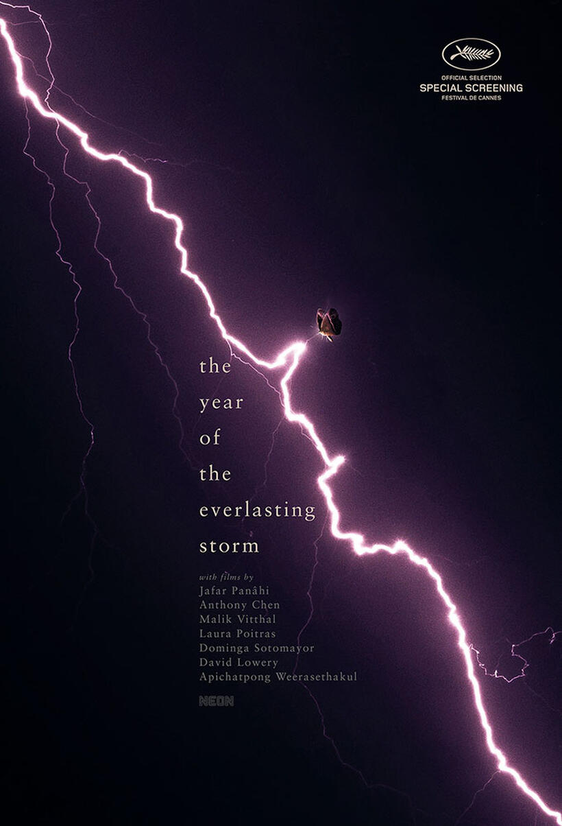 The Year of the Everlasting Storm poster art