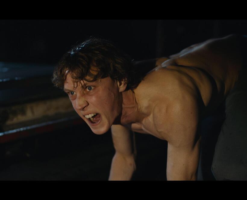 Check out these photos for "Wolf"
