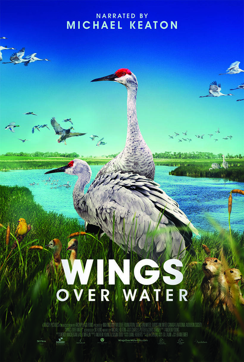 Wings Over Water poster art