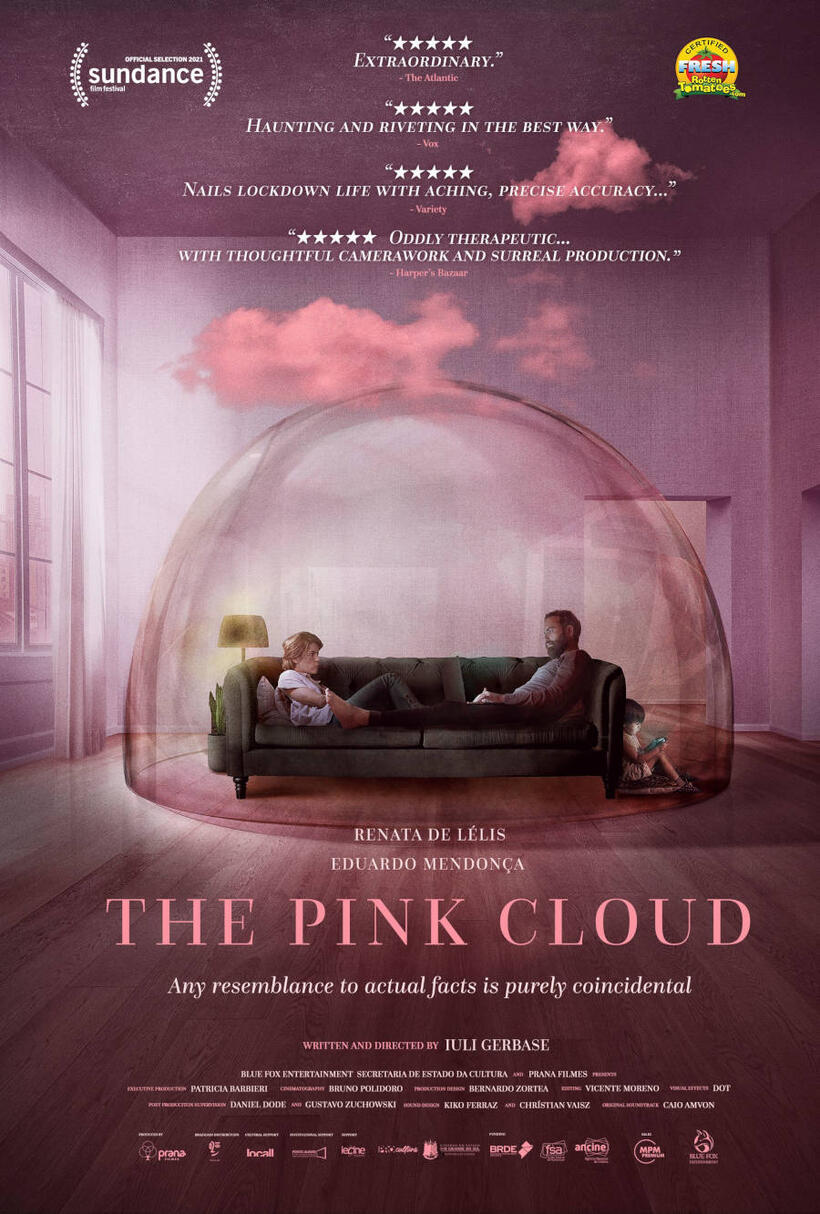 The Pink Cloud poster art