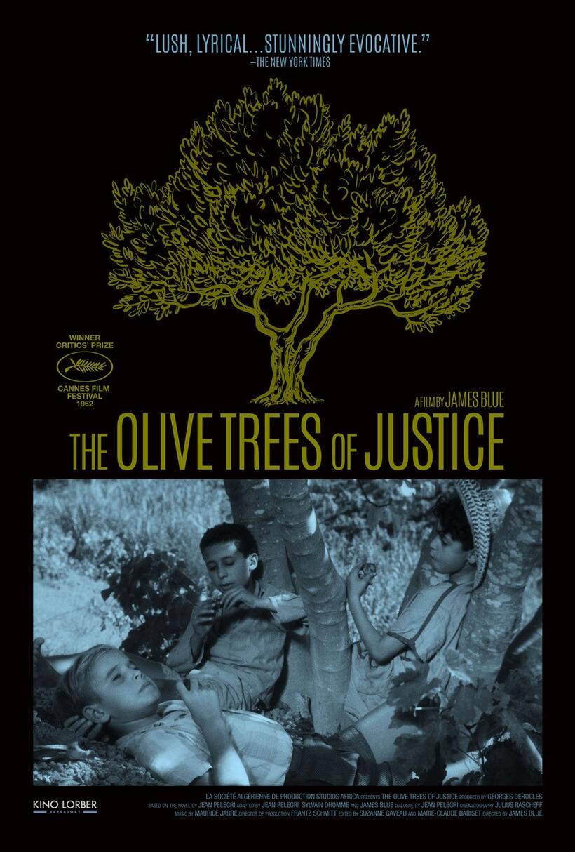 The Olive Trees of Justice poster art