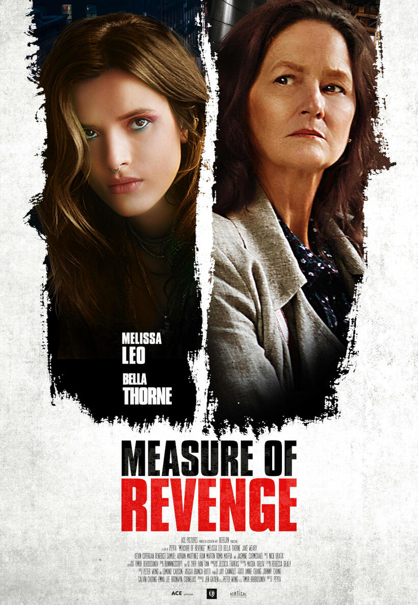 Measure of Revenge poster art