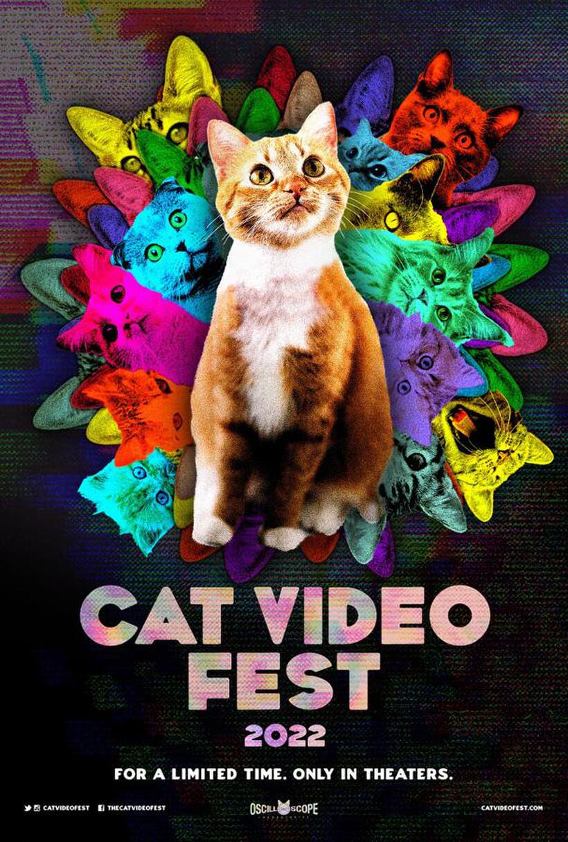 Cat Video Fest 2022 Tickets & Showtimes Fandango