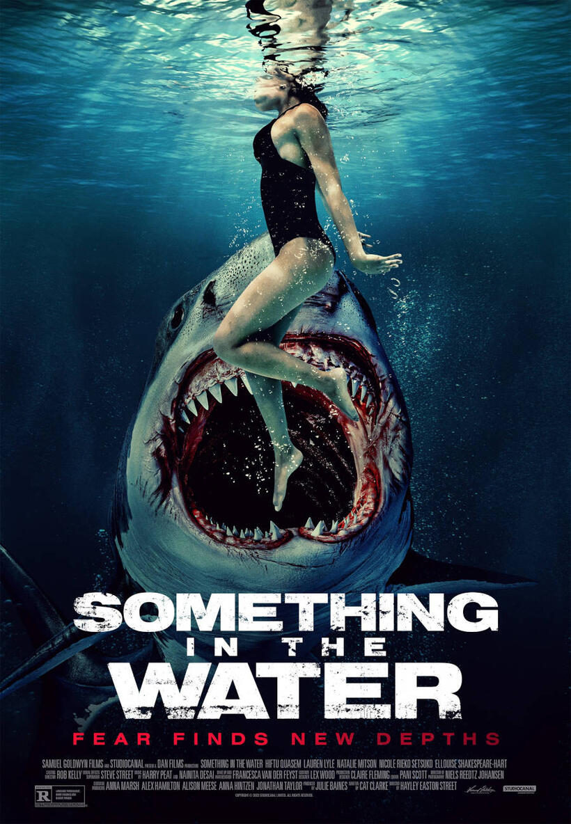 Something in the Water poster art