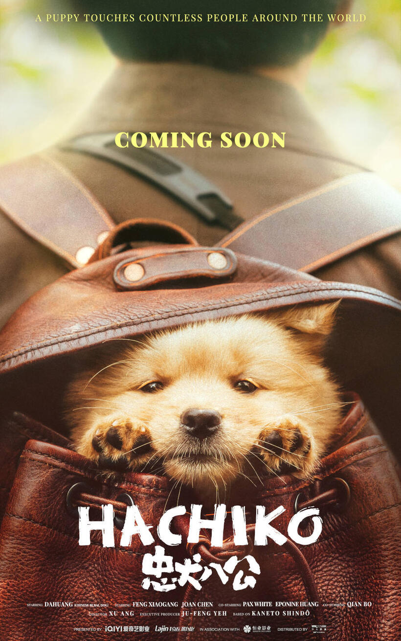 Hachiko (2023) Movie Tickets & Showtimes Near You Fandango