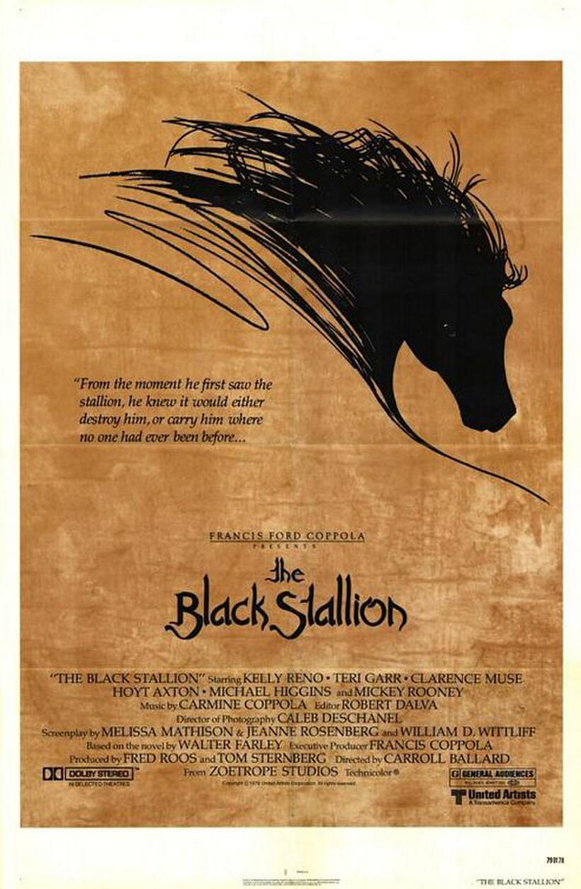 Poster art for "The Black Stallion."
