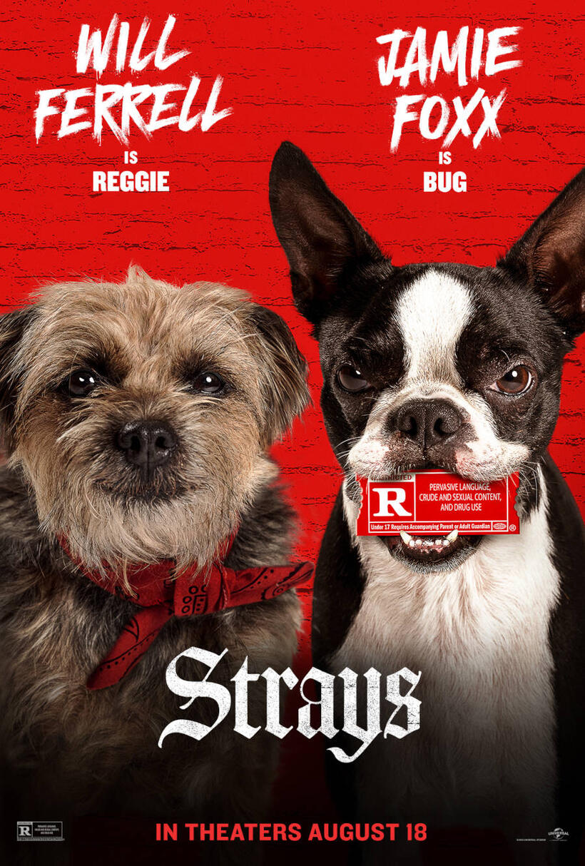 Strays poster art