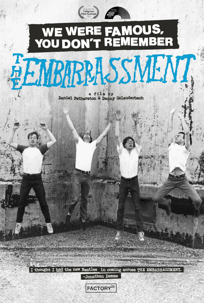 We Were Famous, You Don't Remember: The Embarrassment poster art