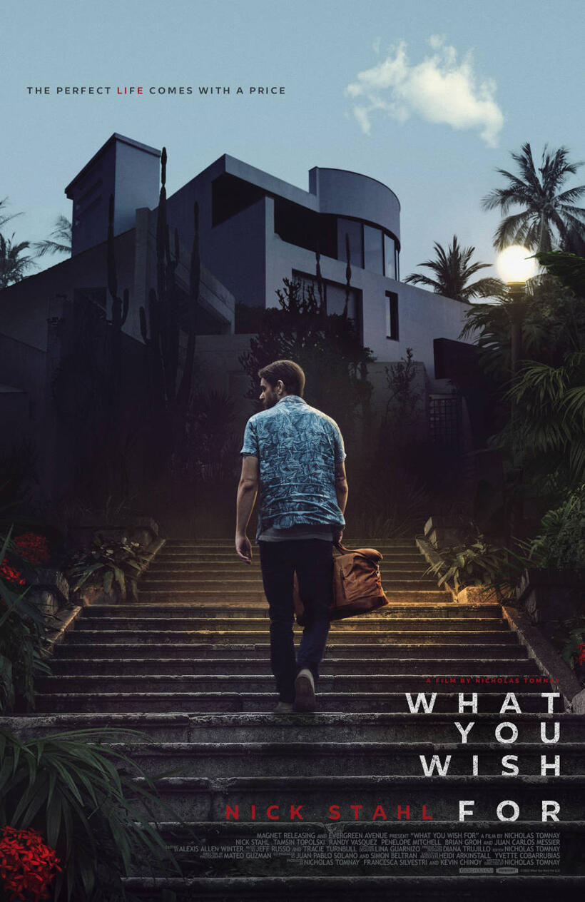 What You Wish For poster art