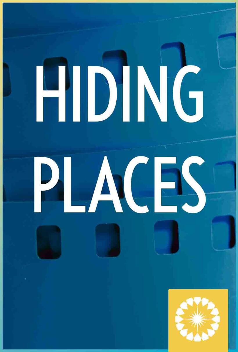 Hiding Places poster art
