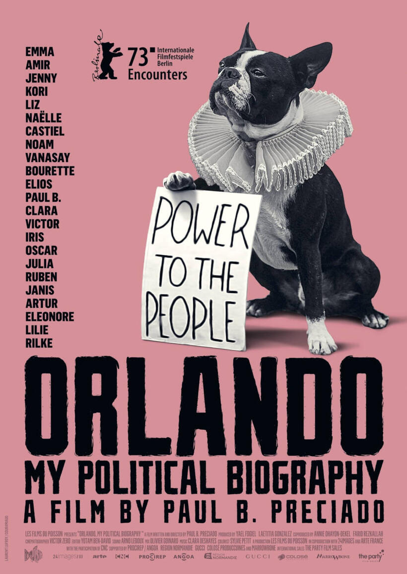 Orlando, My Political Biography poster art