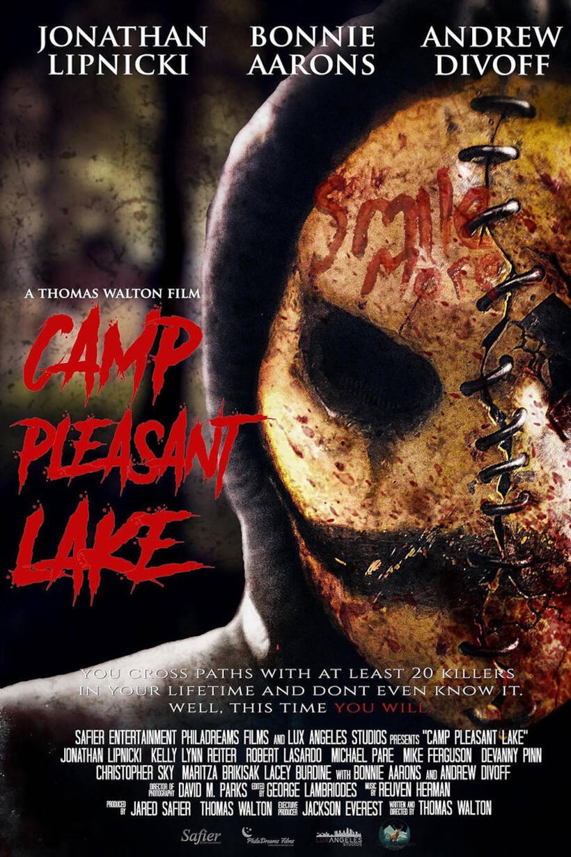 Camp Pleasant Lake poster art