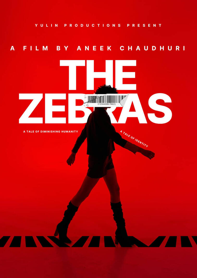The Zebras: Dark Start poster art