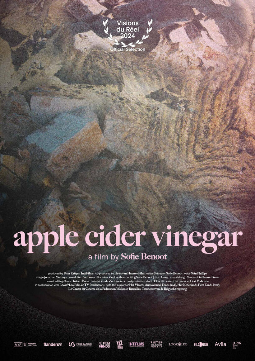 Apple Cider Vinegar (17TH ANNUAL SCIENCE NEW WAVE FESTIVAL (2024
