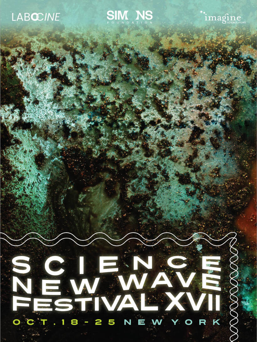  Feature Program: Infinite Summer (17th ANNUAL SCIENCE NEW WAVE FESTIVAL) poster art