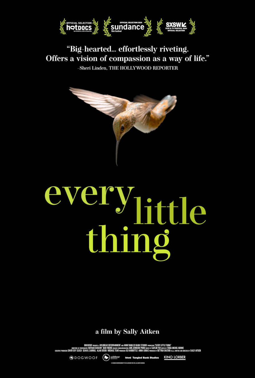 Every Little Thing poster art