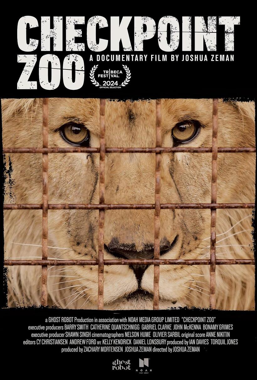 Checkpoint Zoo (2024)