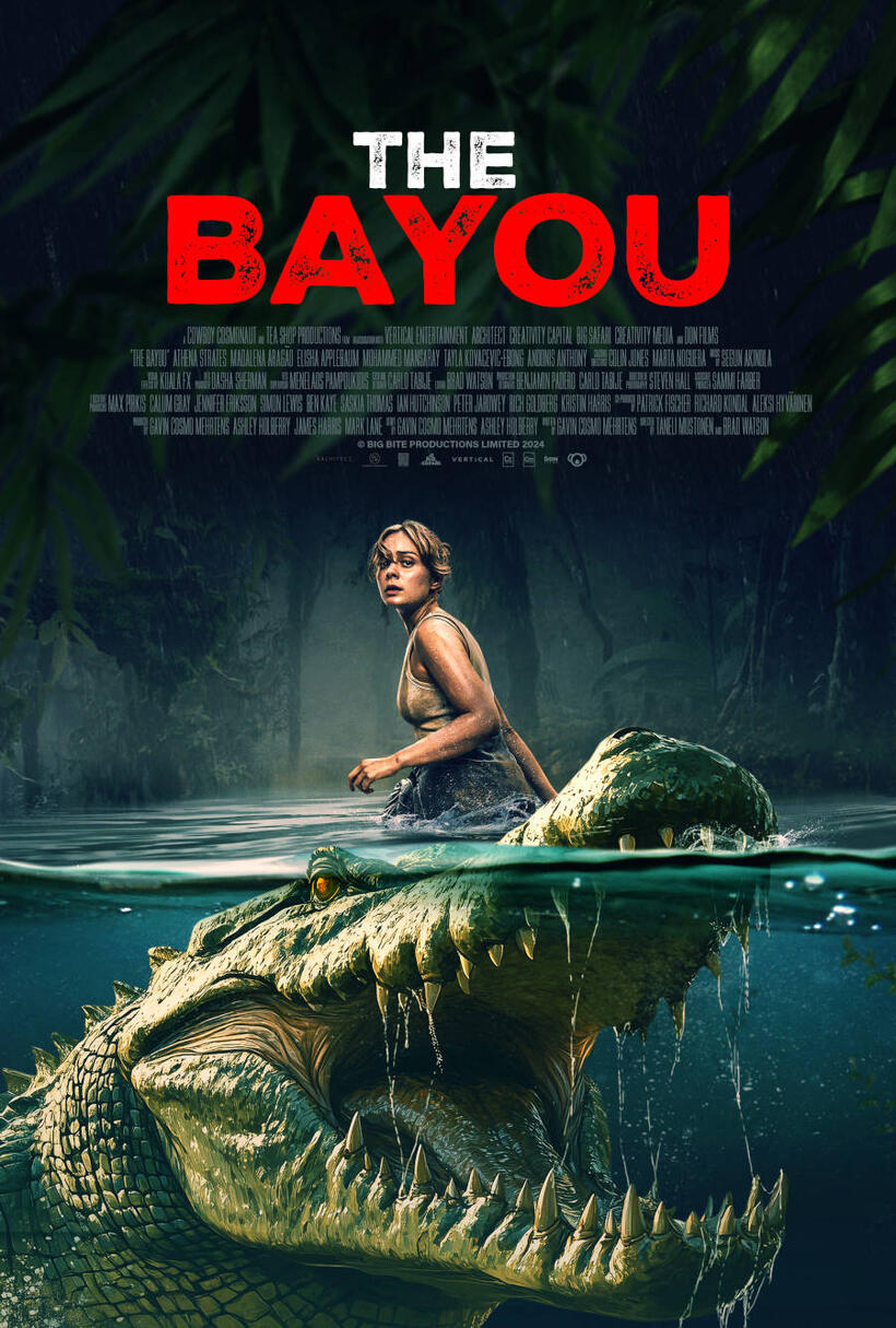 Bayou poster art