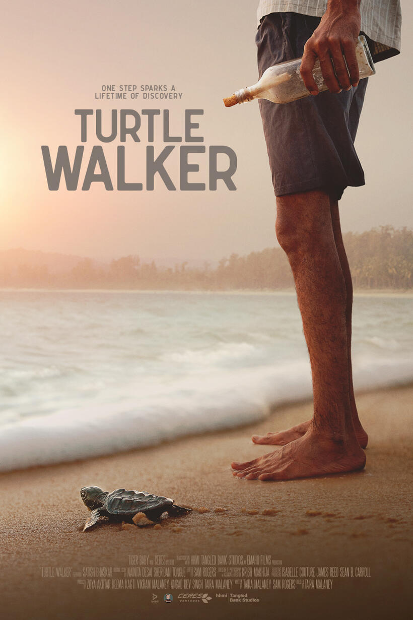 Turtle Walker