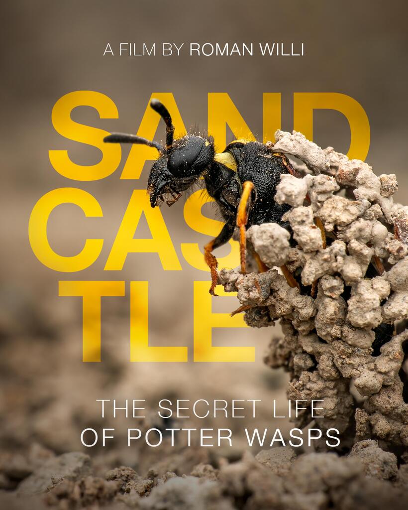 Double Feature: Fabulous Insects: Ants & Sandcastle: The Secret Life of Potter W