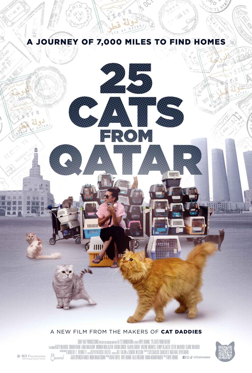 25 Cats from Qatar (2025)