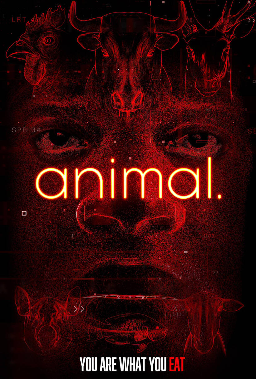 animal. poster art