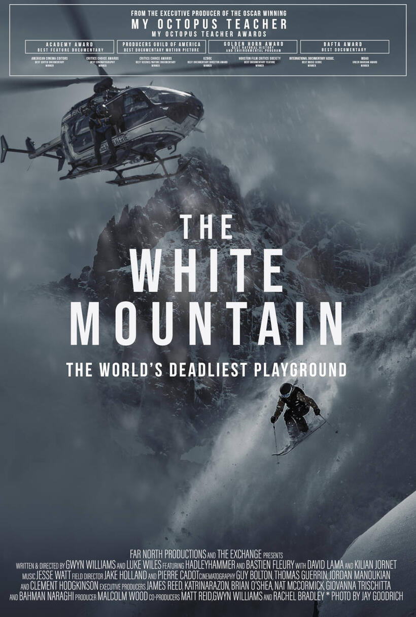 The White Mountain poster art