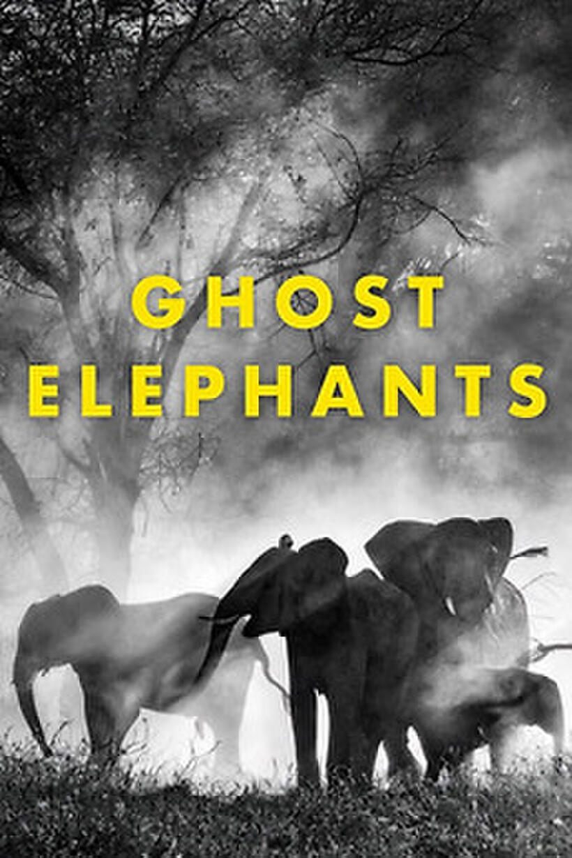 Ghost Elephants (2025)