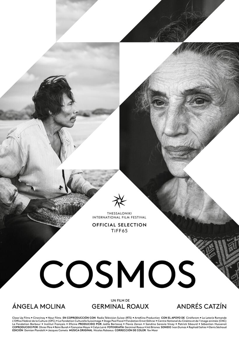 Poster art for "Cosmos"